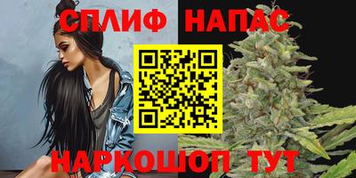 мдпв Шелехов