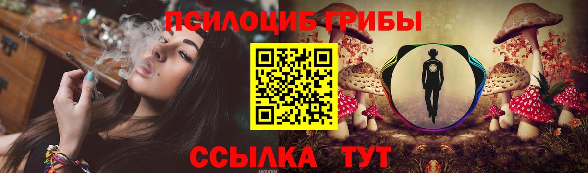 Галлюциногенные грибы Cubensis Усолье-Сибирское